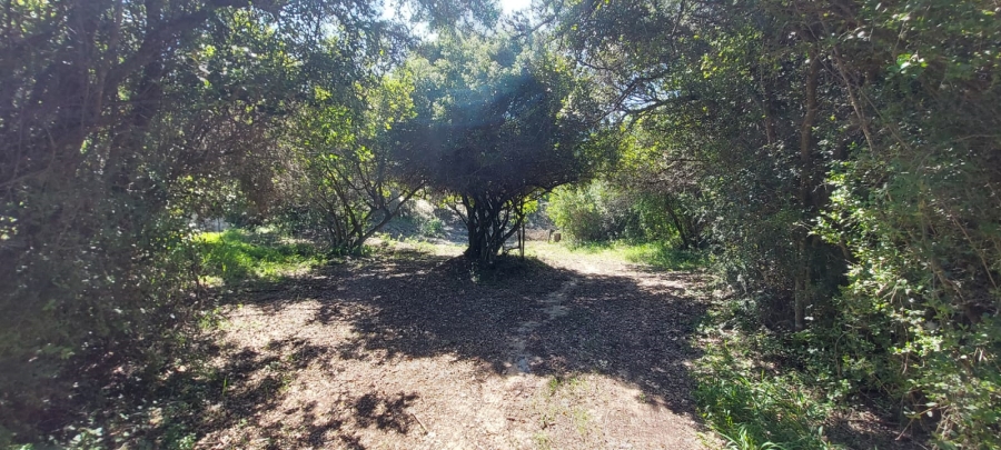 Commercial Property for Sale in Gamtoos Mouth Eastern Cape